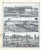 M. C. Lane, Thomas Sullivan, Wm. A. Ellsworth, Farm, Residence, Allen, Deer Park, La Salle County, La Salle County 1876
